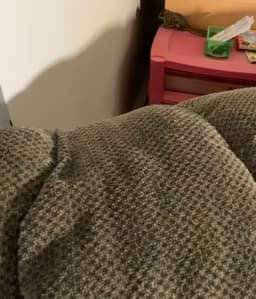 Behind the top of a green couch, sits a tall pink bin. A flying squirrel can be seen perched on the edge of the bin. 