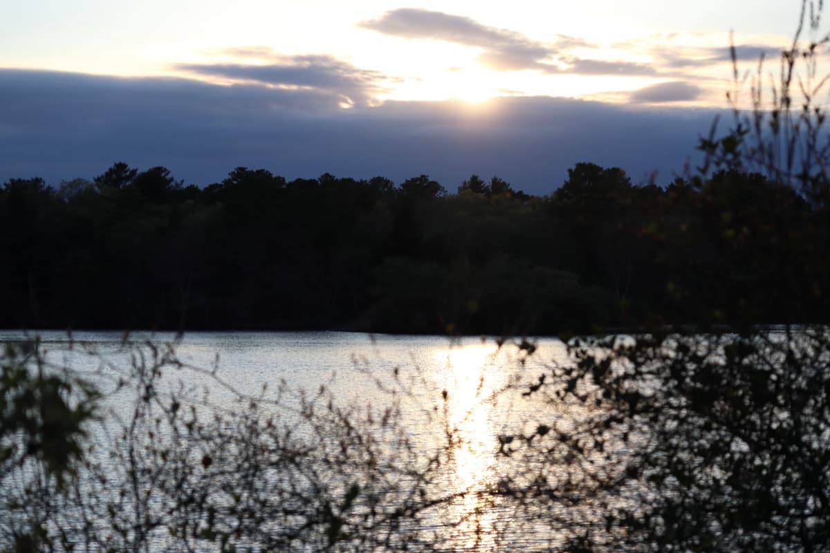 Sunset going behind the clouds above a dense forest with a pond at the forefront shining bright from the sun
