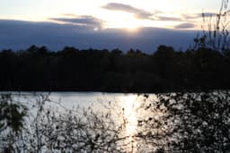 Sunset going behind the clouds above a dense forest with a pond at the forefront shining bright from the sun