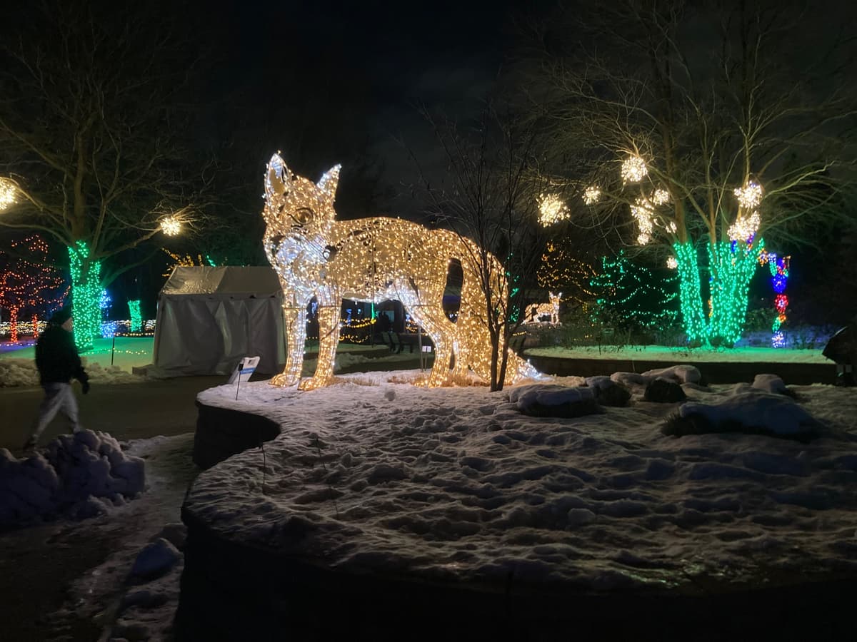 A holiday light sculpture of a fox