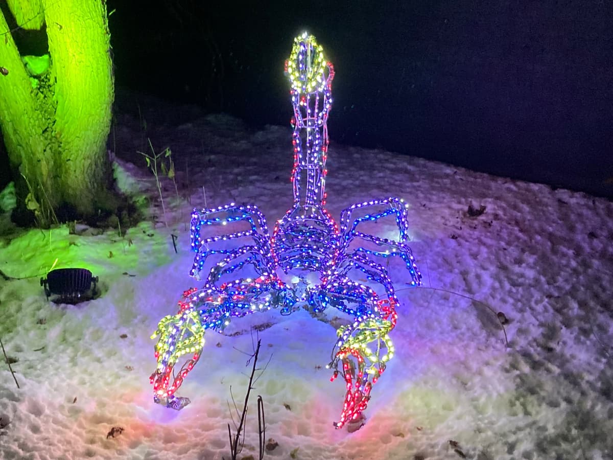 A holiday light sculpture of a scorpion