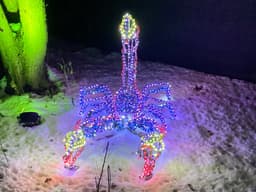 A holiday light sculpture of a scorpion