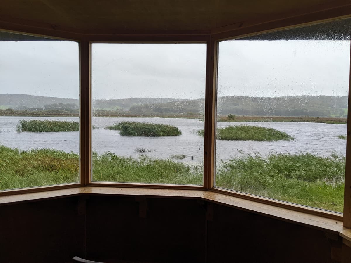 A view over a wide expanse of marshland seen through the windows of a wooden bird hide. The water is choppy and windswept, with reeds and small islands of vegetation under a grey, stormy sky.