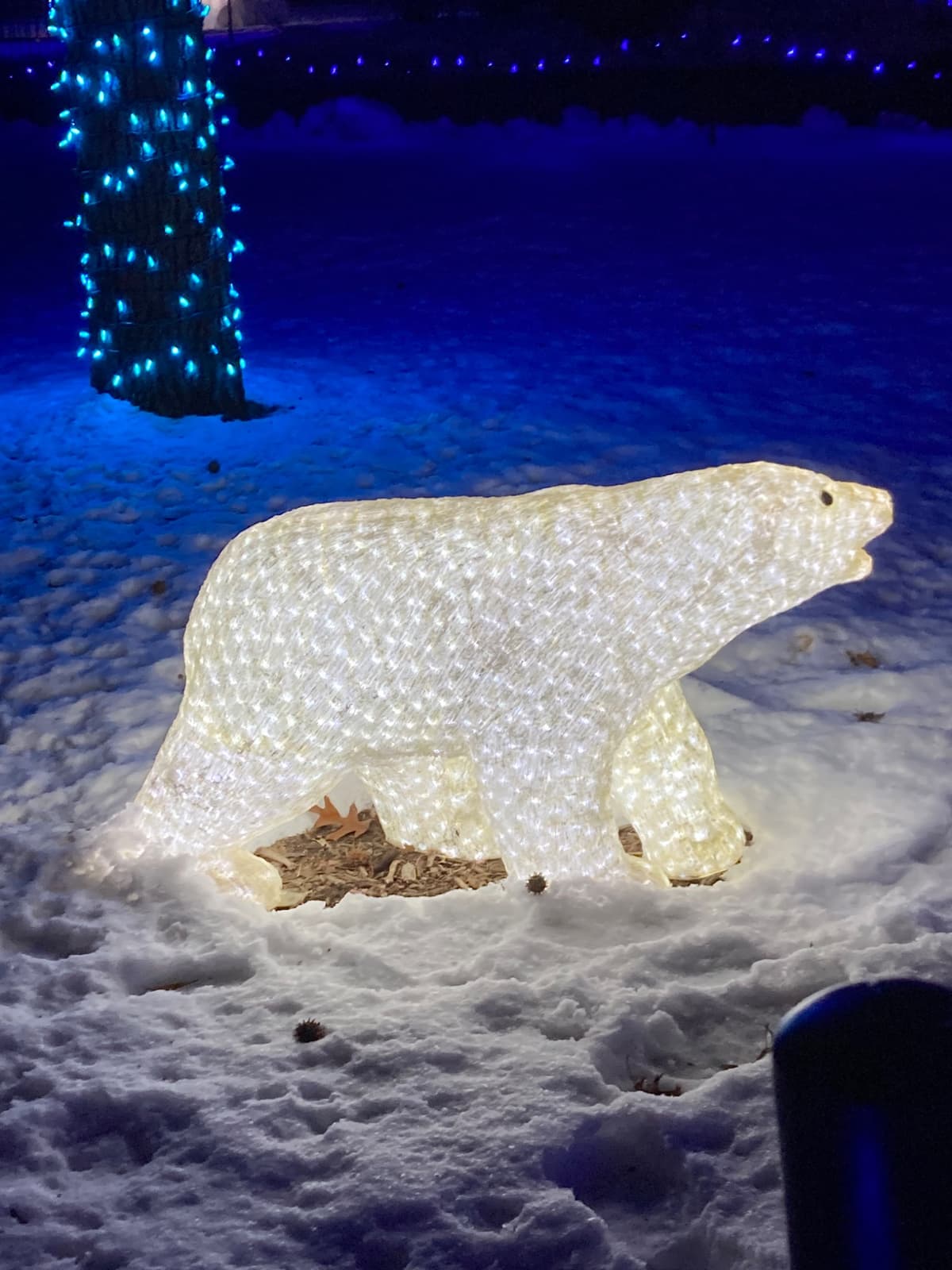 A holiday light sculpture of a polar bear