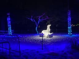 A holiday light sculpture of a seal