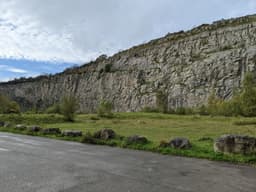 A photo taken from the base of a tall limestone quarry. The sheer grey cliff rises dramatically with small patches of grass on the ledges. At the bottom, there’s a grassy area with a few trees, and the white cloudy sky shows bits of bright blue breaking through.