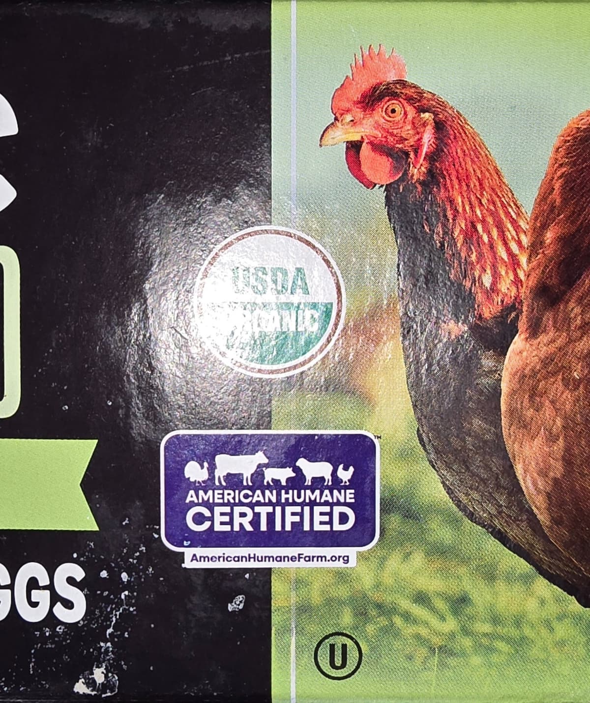 A picture of a chicken on an egg carton close up to show the organic Certification decal and the certified humane indicator.  