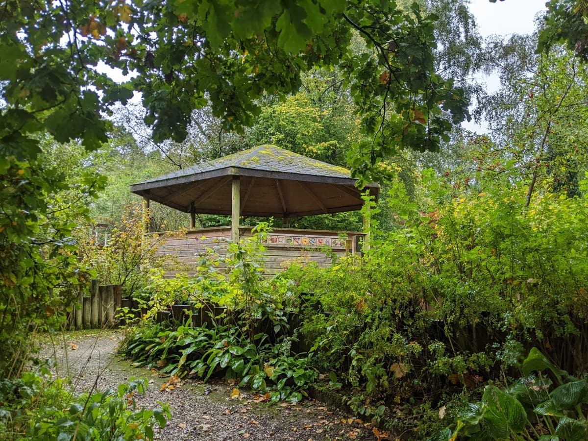 A wooden shelter with a mossy roof surrounded by lush green plants and trees in the RSPB Garden. The scene looks peaceful and shaded, with a gravel path leading through the vegetation.