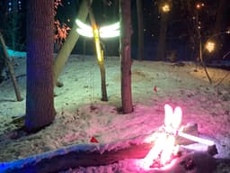 Two light-up dragonfly decorations 
