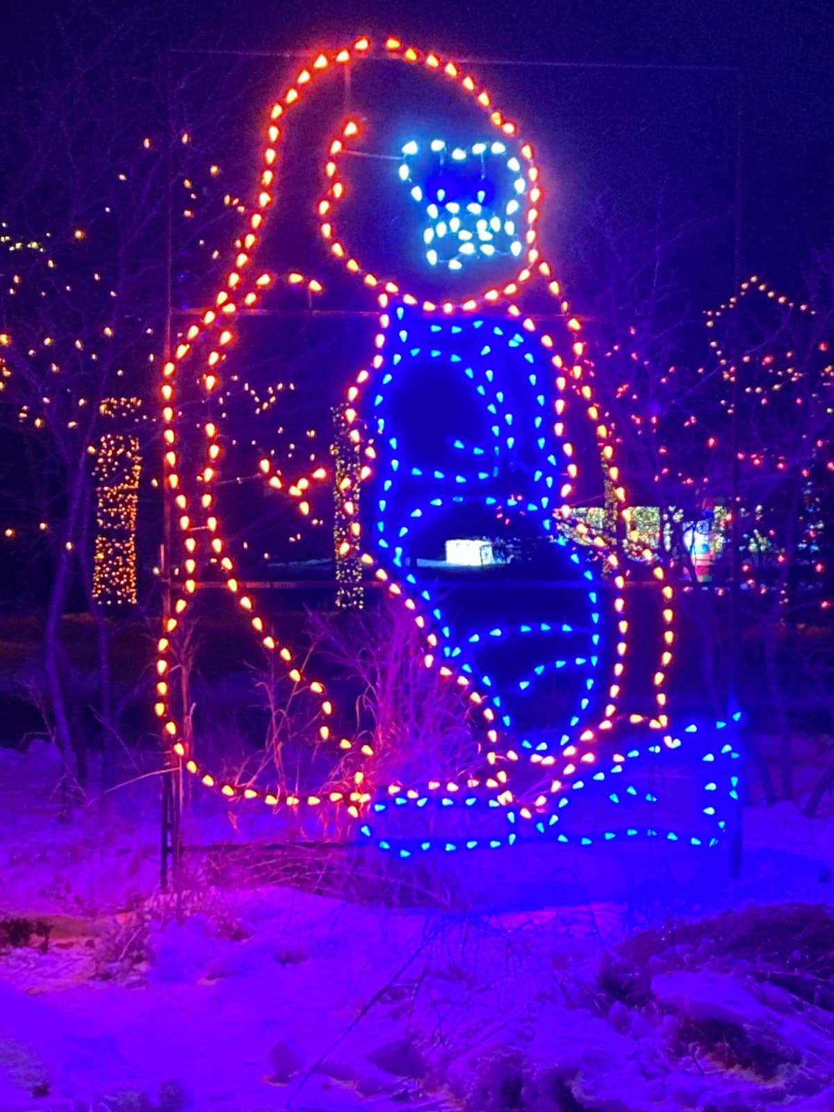 A holiday light outline of a gorilla