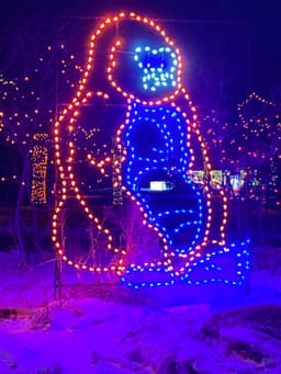 A holiday light outline of a gorilla