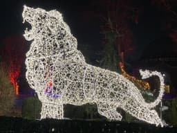A holiday light sculpture of a lion